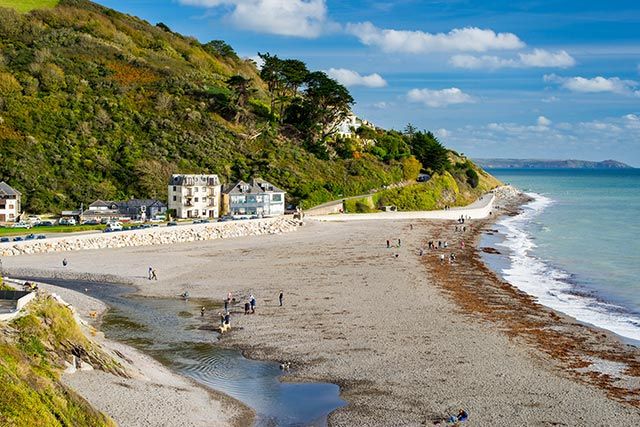 Seaton Beach great for dog walkers